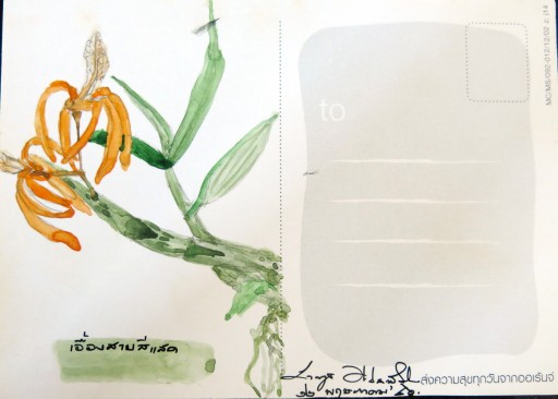 floweronpostcard-1-5